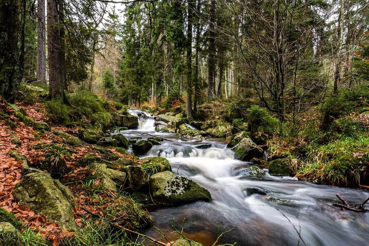 Harz